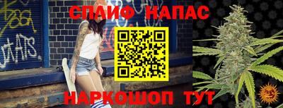 дживик Кунгур