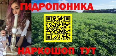 стафф Кулебаки