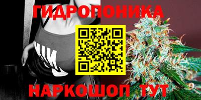 дживик Кунгур